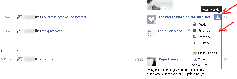 a screencap showing the privacy menu that shows up after clicking an item's privacy icon